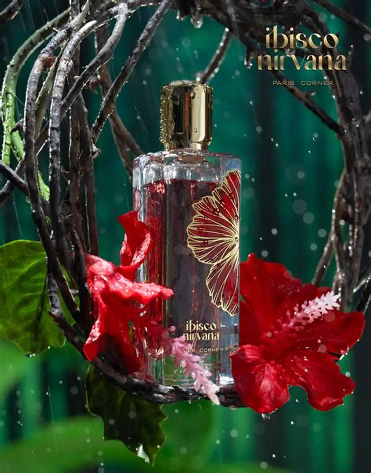 Ibisco Nirvana | Paris Corner Meraki Aveiro