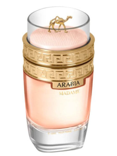 Arabia Madame | Le Chameau